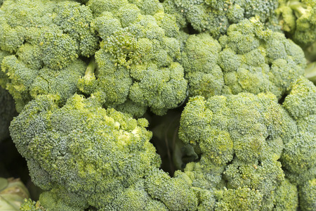 Bunches of fresh organic broccoli stalks at local farmers marketの写真素材