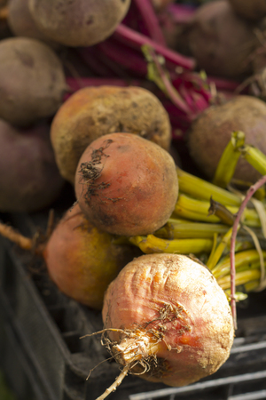 Organic red beets on display at local farmers marketの写真素材