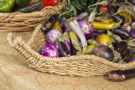Heirloom eggplants of many colors displayed in giant basketの写真素材