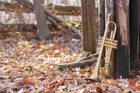 Old worn trumpet out in the wilderness on fence autumnの写真素材
