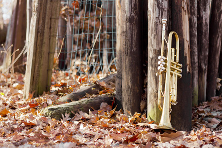Old worn trumpet out in the wilderness on fence autumn