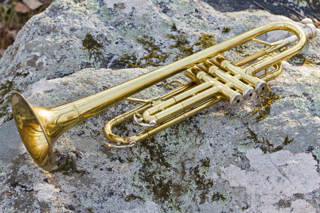 Old worn trumpet out in the wildernessの写真素材