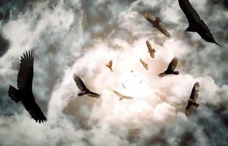 Flock of circling turkey vultures with looming clouds and bright sunの写真素材