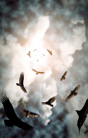 Flock of circling turkey vultures with looming clouds and bright sunの写真素材