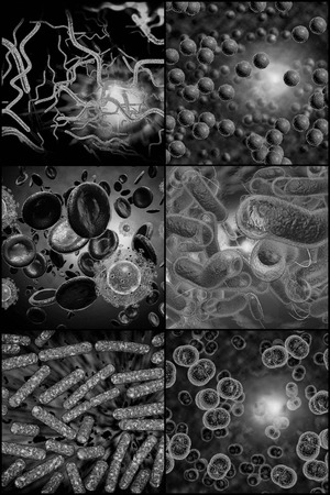 3D microscope close up of various bacteria in collage imageryの写真素材