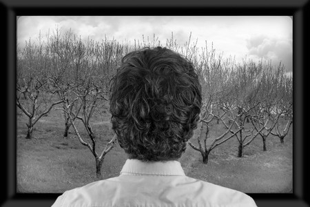 Back of man's head as he's watching flat screen televisionの写真素材