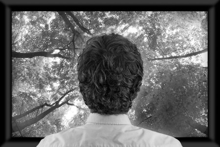 Back of man's head as he's watching flat screen televisionの写真素材