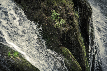 Waterfall rapids with water frozen in time splashing against mossy rocks