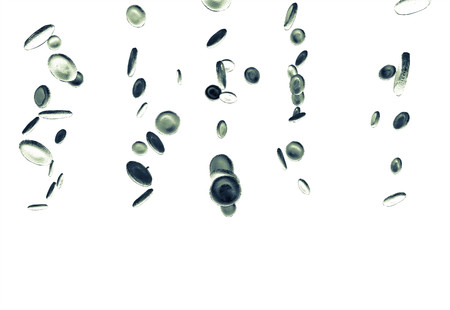 Healthy human red bloodcells in close up 3d graphics renderの写真素材