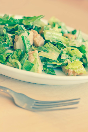 Fresh organic caesar salad with grated asiago cheeseの写真素材
