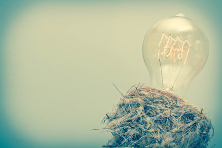 Decorative antique edison style filament light bulb in birds nestの写真素材