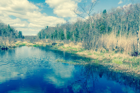Sunny and beautiful day at a swamp in Wawayanda State Parkの写真素材