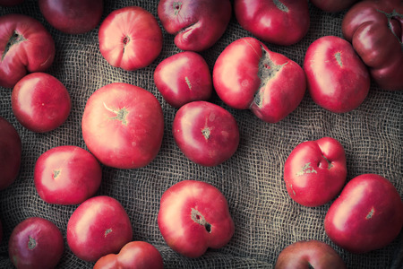 Heirloom or heritage mishapen historical tomatoes on hemp clothの写真素材