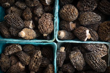 Closeup pile of gourmet morel mushrooms at local farmers market