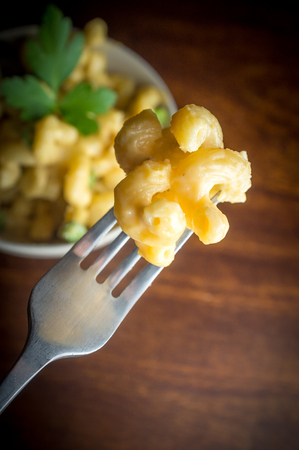Delicious macaroni and cheddar cheese with parsley sprigの写真素材