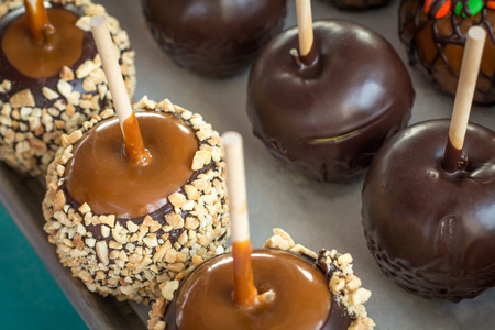 Tray of assorted variety of candy apples at state fair