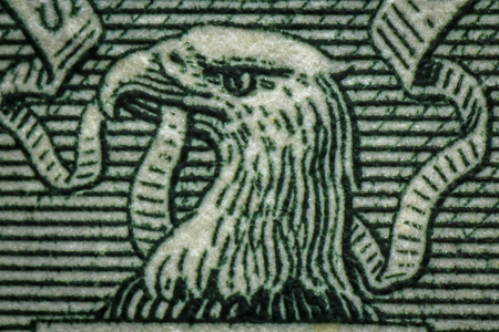 Macro closeup American currency dollar bill eagle