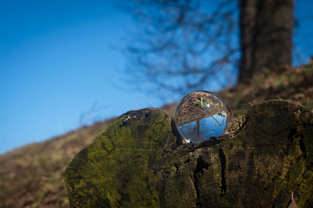 Magic crystal ball in nature for fantasy mystical backgroundの写真素材