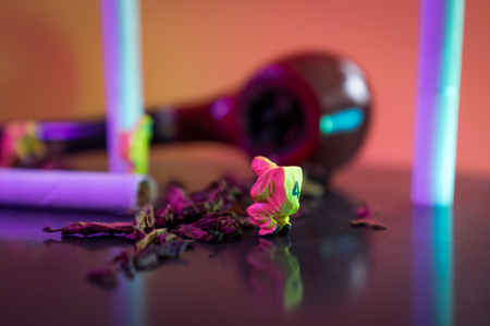 Miniature hazmat team inspects hazardous tobacco productsの写真素材