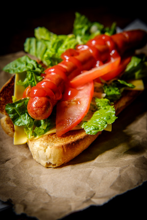 Fancy grilled hotdog with lettuce tomato American cheese and ketchupの写真素材