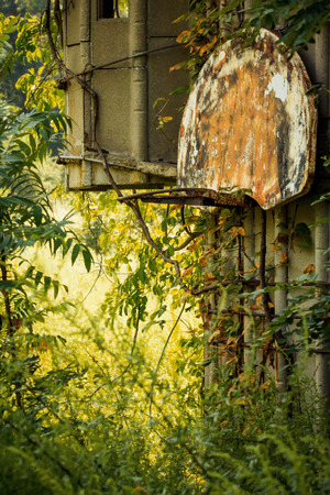 Grungy abandoned basketball hoop with overgrown weeds on farm siloの写真素材