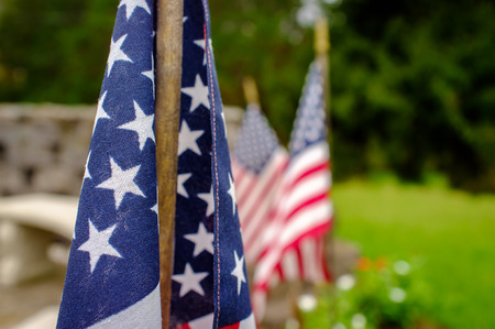 American flags waving in wind outdoors with green grass