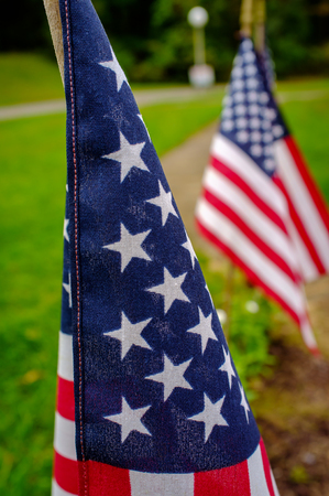American flags waving in wind outdoors with green grass