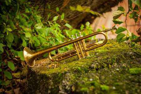 Autumn jazz instrument trumpet standing alone in natureの写真素材