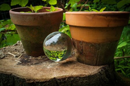 Fortune tellers magic glass crystal ball in natureの写真素材
