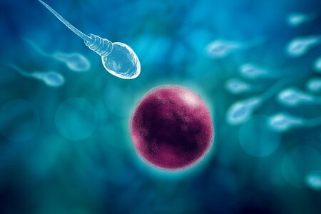 Swimming sperm race to impregnate a fertile human egg 3D digital illustration