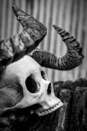 Halloween demon skull with large horns angel of deathの写真素材