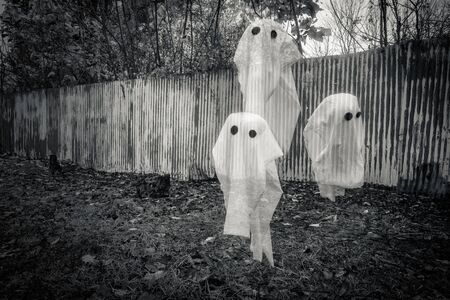 Spooky Halloween ghost spirits floating in the airの写真素材
