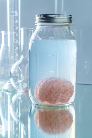 Human brain preserved in formaldehyde for science experiments and education on anatomy
