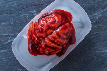 Brain freeze ice cube on cold slate slab metaphor conceptの写真素材