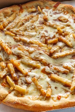 New York style specialty pizza pie with disco fries in gravy and mozzarella cheese toppings