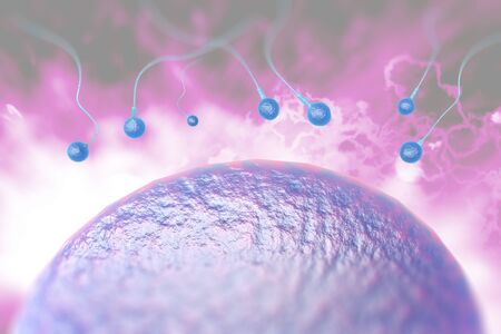 Swimming sperm race to impregnate a fertile human egg 3D digital illustration
