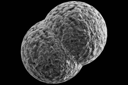 Microscope close up of meningitis bacteria, also known as meningococcus 3D Illustrationの写真素材