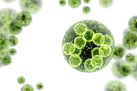 Green single cell chlorella algae microscopic conceptual 3D illustration