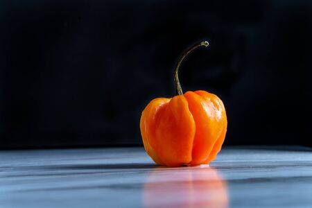 Spicy jamaican scotch bonnet pepper on marble kitchen table