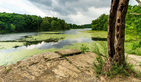 Beautiful summer view of the lake at Wawayanda State Park campground