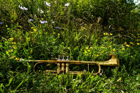 Old rusty Jazz instrument hippie trumpet laying in grass and wildflowers in natureの写真素材