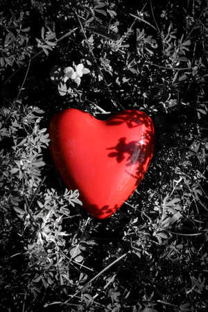 Red shiny romantic Valentine's Day heart on contrasting black and white natural textured backgroundの写真素材