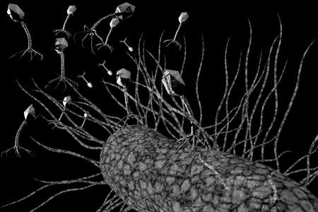 Closeup bacteriophage virus attacking bacteria cells 3D illustrationの写真素材