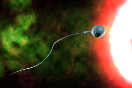 Swimming sperm race to impregnate a fertile human egg 3D digital illustrationの写真素材