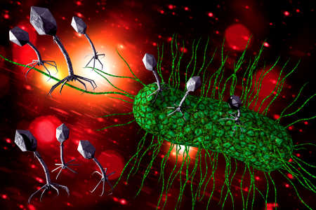 Closeup bacteriophage virus attacking bacteria cells 3D illustration