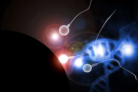 Swimming sperm race to impregnate a fertile human egg 3D illustration