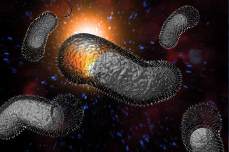 Close up 3D illustration of microscopic Cholera bacteria infectionの写真素材