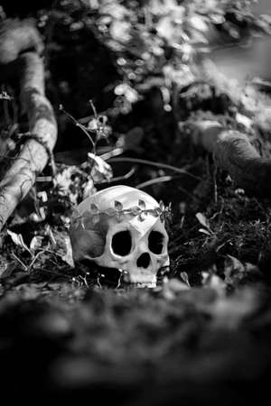 Human skeleton skull of King or Queen wearing royal gold leaf crownの写真素材