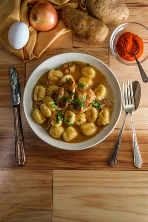 Hungarian chicken paprikash with gnocchi potato dumplings and basilの写真素材