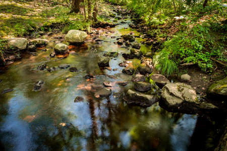 Summer day forest stream water with motion blur waves